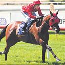 Bolord on track in Victoria